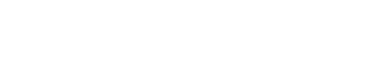 MIT Department of Brain and Cognitive Sciences